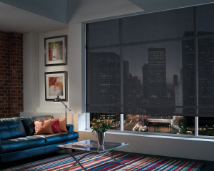 Best shades for TV rooms